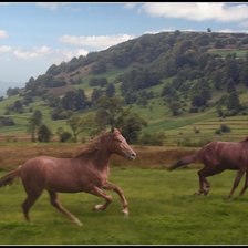 Схема вышивки «№138024»