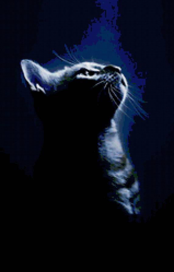 №138050 - киса, котик - предпросмотр