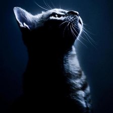 Схема вышивки «№138050»