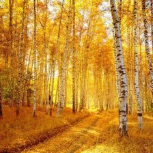 Схема вышивки «Осенний лес»