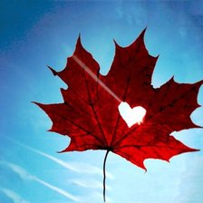 Схема вышивки «№138155»