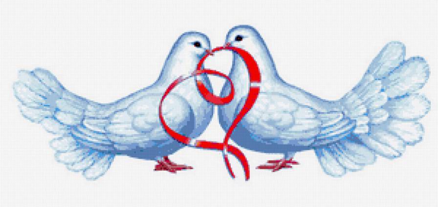 Голуби - птицы - предпросмотр