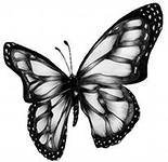 Схема вышивки «бабочка»