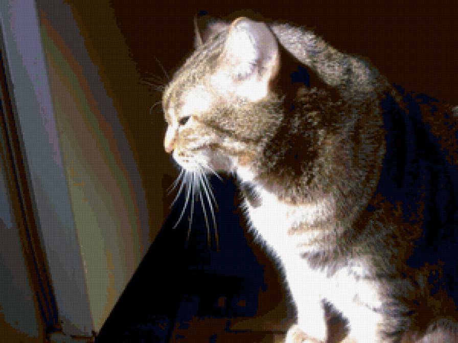 Зайка наш - предпросмотр