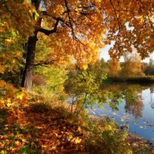 Схема вышивки «№138247»