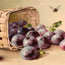 Схема вышивки «Корзина со сливой»