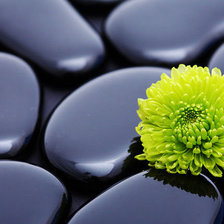 Схема вышивки «№138270»