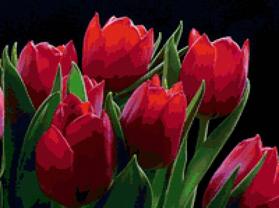 Тюльпаны - пейзаж, цветы, деревья, природа - предпросмотр