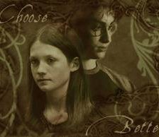 Схема вышивки «Гарри и Джинни»