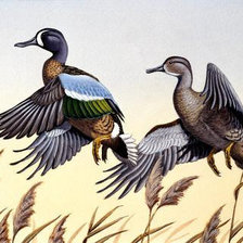 Схема вышивки «№138507»