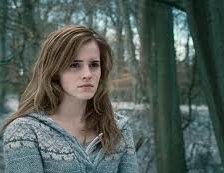 Схема вышивки «Гермиона»