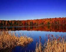 Схема вышивки «autumn»