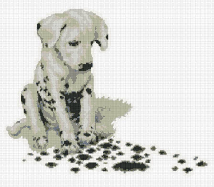 щеночек - щенок - предпросмотр