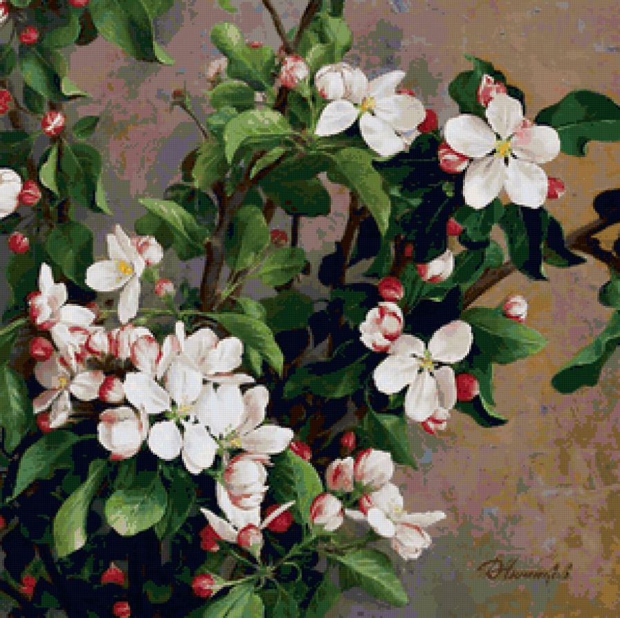 Яблони в цвету - букет, цветы - предпросмотр