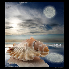 Схема вышивки «Ракушка»