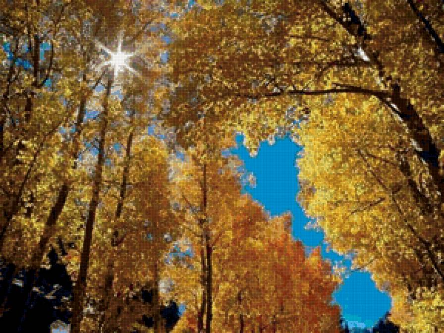 осень золотая2 - природа, осень, деревья - предпросмотр