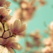 Схема вышивки «Для души»