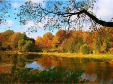 Схема вышивки «№139035»