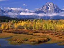 Схема вышивки «№139081»