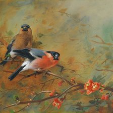 Схема вышивки «пташки»