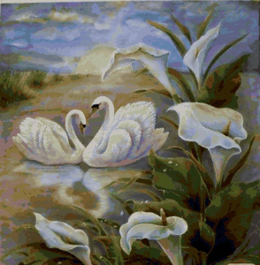 лебединая верность - пруд, лебеди - предпросмотр