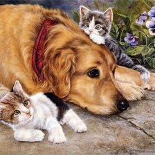 Собачка и котятки