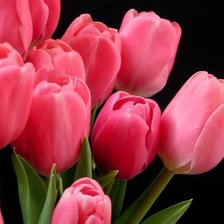 Схема вышивки «тюльпанчики»