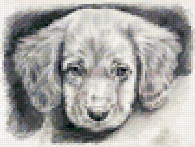 Щенок - щенок, собака, животные - предпросмотр