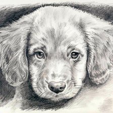 Схема вышивки «Щенок»