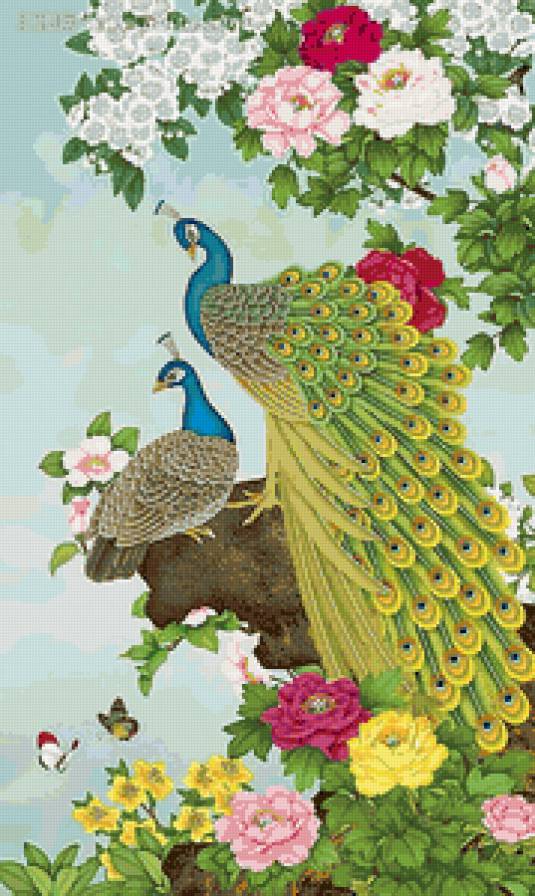 павлины - живопись, птицы, восток, любовь, павлин - предпросмотр