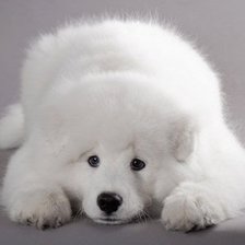 Схема вышивки «лайка»