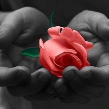 Схема вышивки «Смысл жизни»