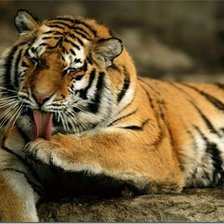 Схема вышивки «№139562»