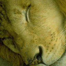 Схема вышивки «№139595»