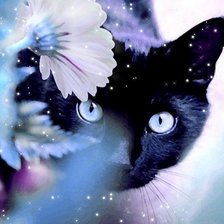 Схема вышивки «№139611»