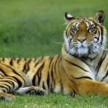 Схема вышивки «№139712»