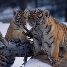 Схема вышивки «№139717»