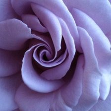 Схема вышивки «Цветок»