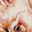 Предпросмотр схемы вышивки «№139757»