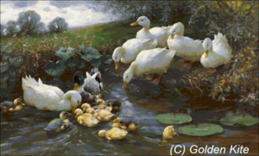 Утки - пейзаж, птицы, живопись - предпросмотр