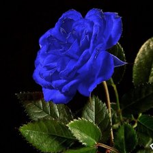 Схема вышивки «№140079»