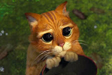 Схема вышивки «кот в сапогах»