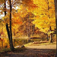 Схема вышивки «осенний пейзаж»