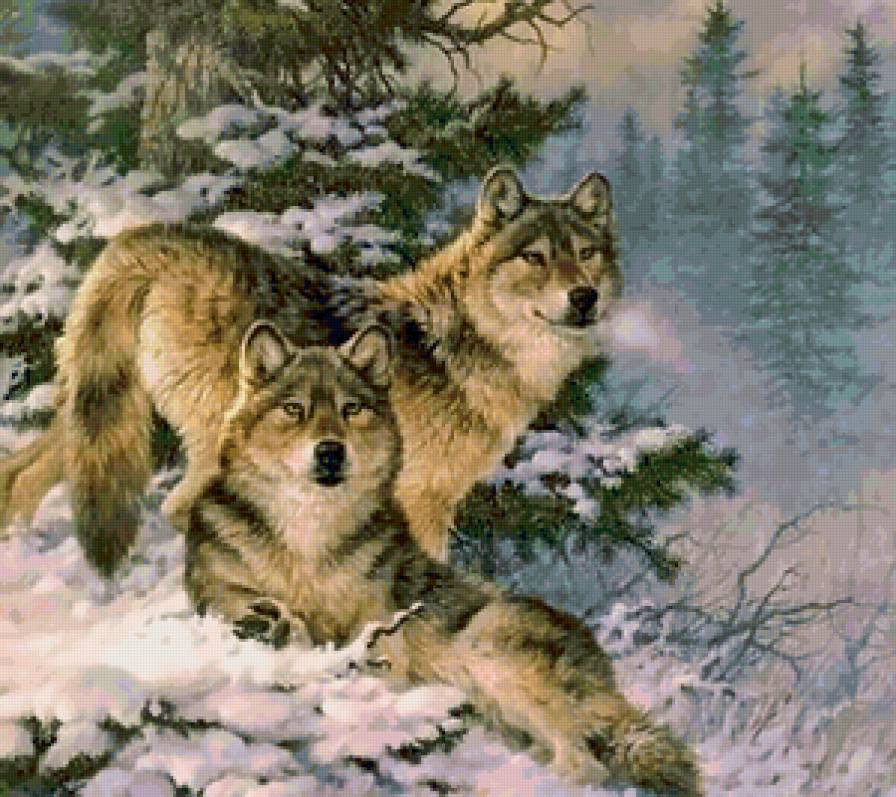 Variant 3 - предпросмотр