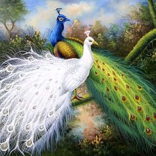 Схема вышивки «Павлины»