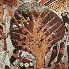 Схема вышивки «смоковница»