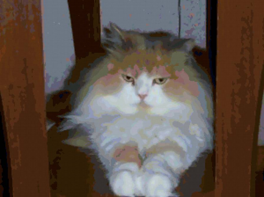 моя киса - предпросмотр