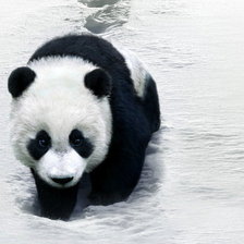 Схема вышивки «Маленький панда»