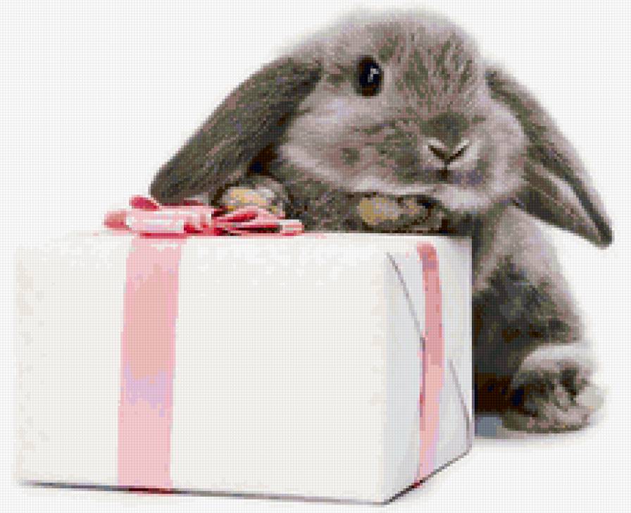 Подарочек - животные, подарок, зайка, заец - предпросмотр