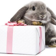 Схема вышивки «Подарочек»